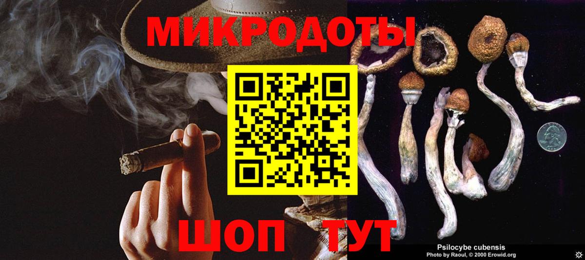 Назрань  наркотики  Вход с VPN  Галлюциногенные грибы Magic Shrooms 